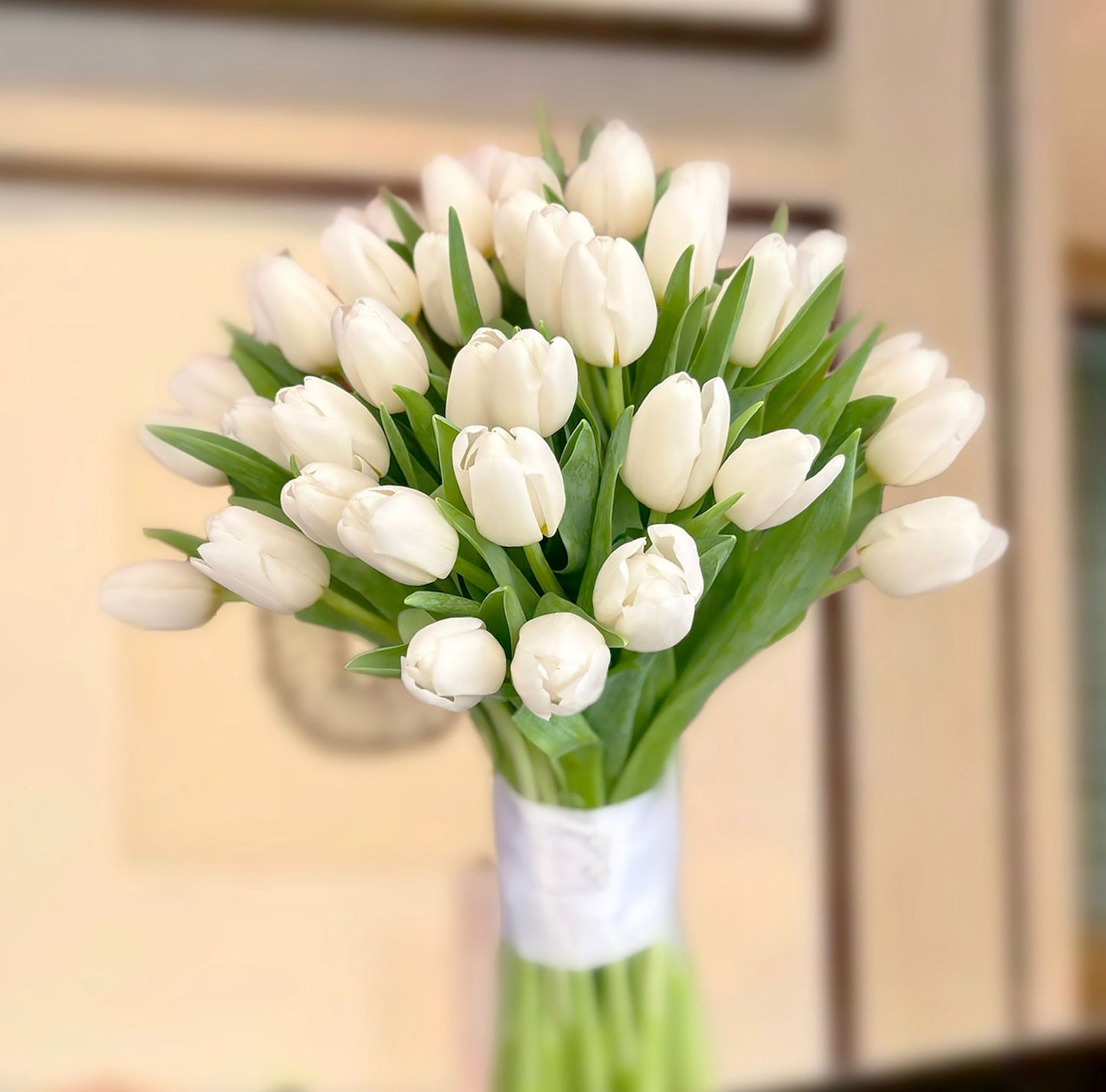 White Promise